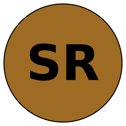 SavvyRun